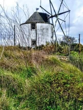 Pateo Da Memoria-Casa Do Artesao Villa Quinta do Anjo Eksteriør billede