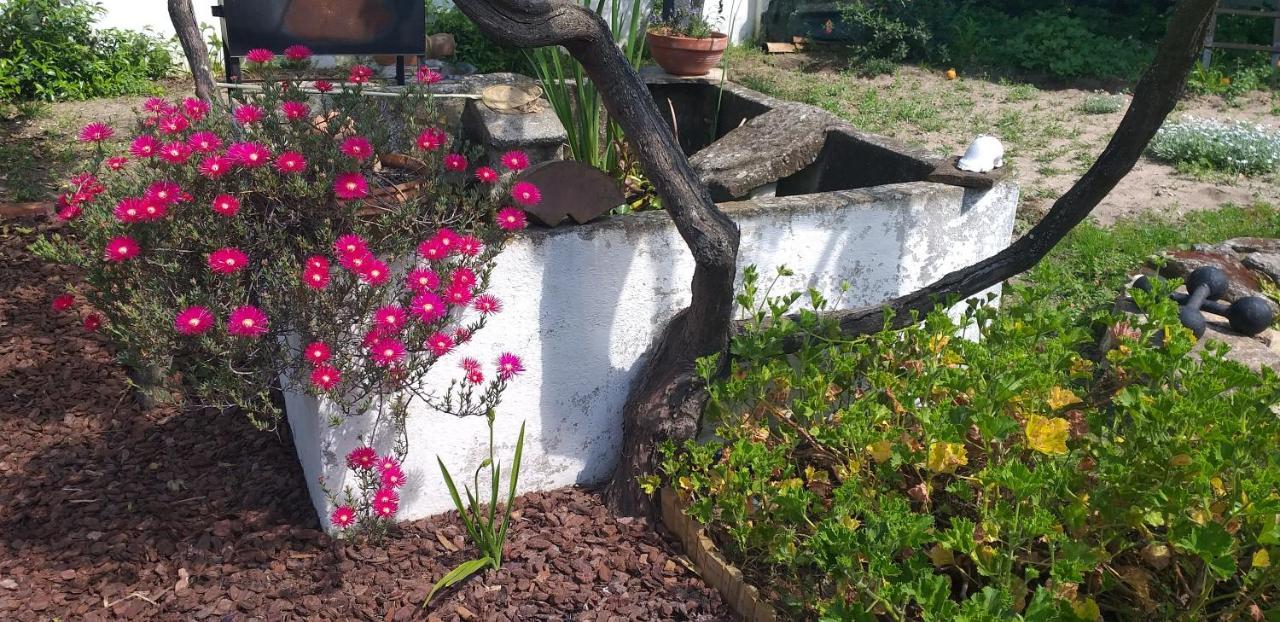 Pateo Da Memoria-Casa Do Artesao Villa Quinta do Anjo Eksteriør billede